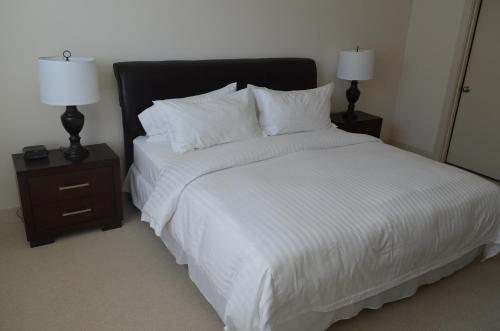Domain at CityCentre - photo 7