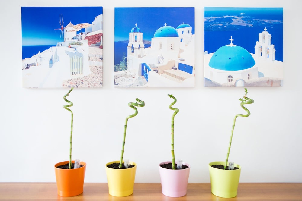 Villino Elda - carbon neutral hotel in Rome