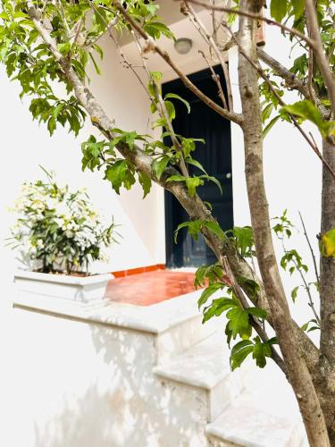Villa Bianca Kavala — Agios Andreas — photo 5