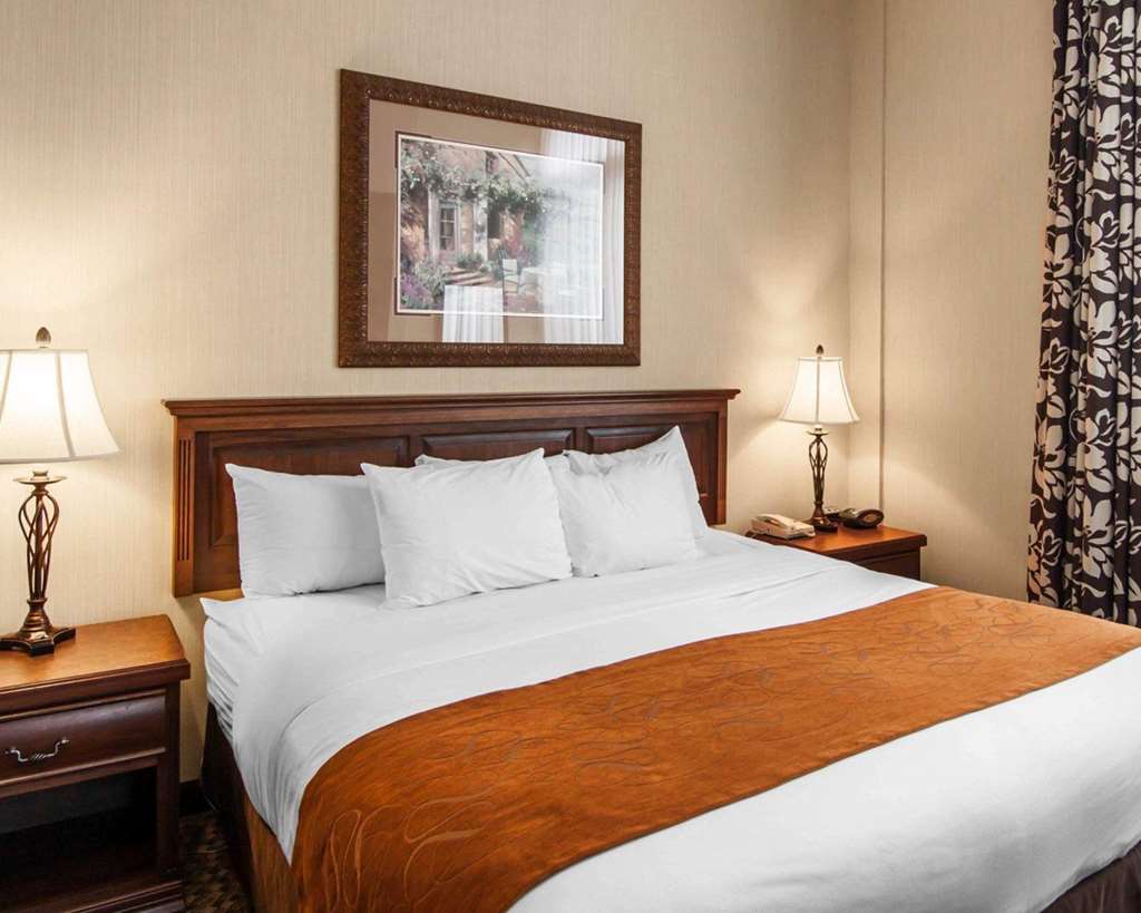 Comfort Suites Corvallis - photo 38