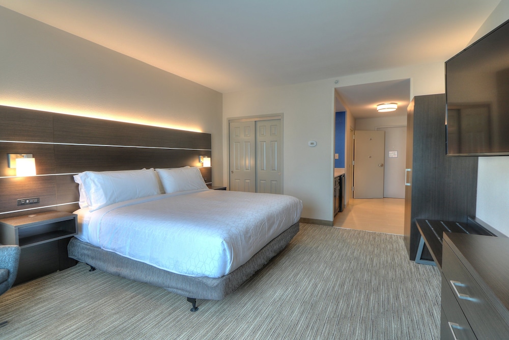 Holiday Inn Express Hotel & Suites Mobile Saraland by IHG - photo 18