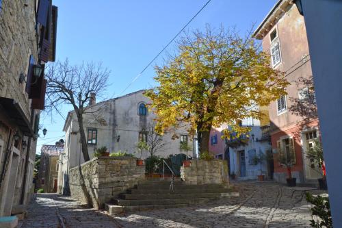 Sobe Pintur — Groznjan — photo 3