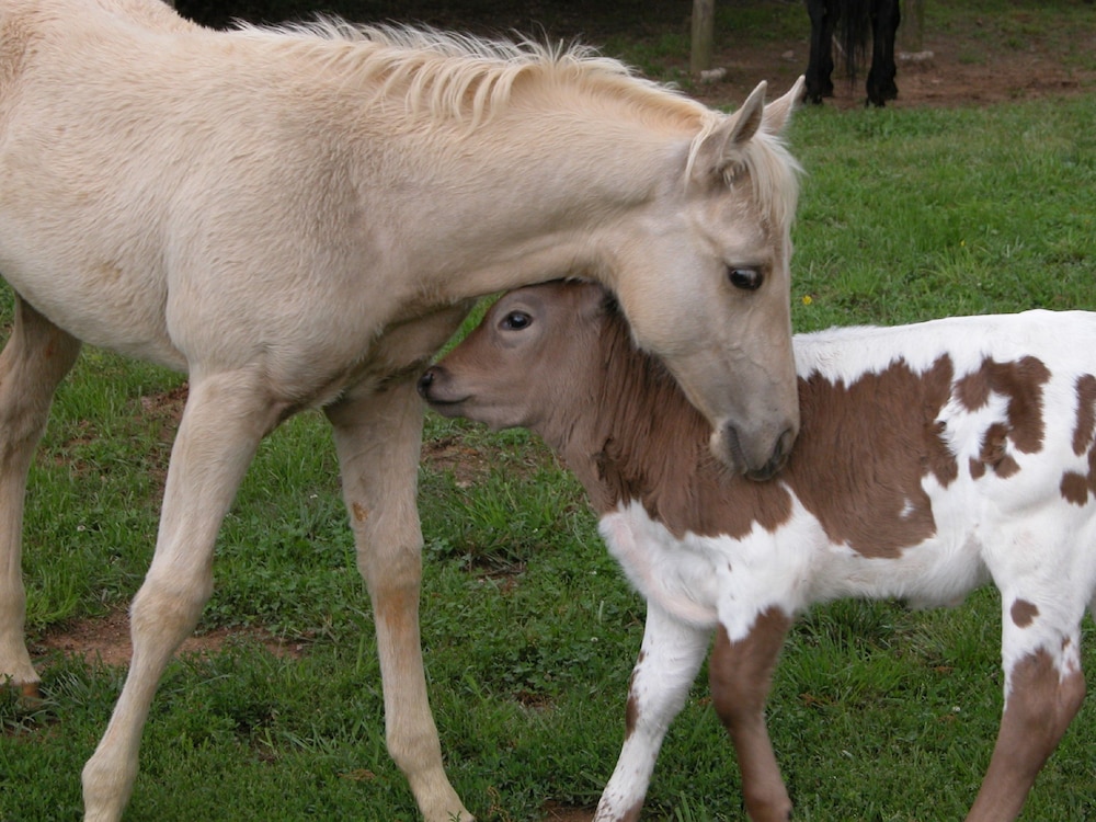Seventy four Ranch - photo 25