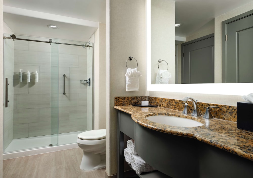 Embassy Suites by Hilton Tucson Paloma Village - photo 21