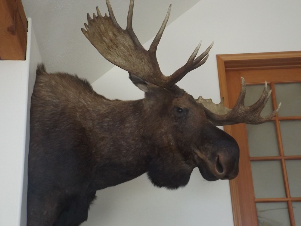 Clark Fork Lodge - photo 25