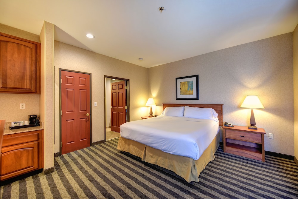 Holiday Inn Express Hotel & Suites Manteca by IHG - photo 23