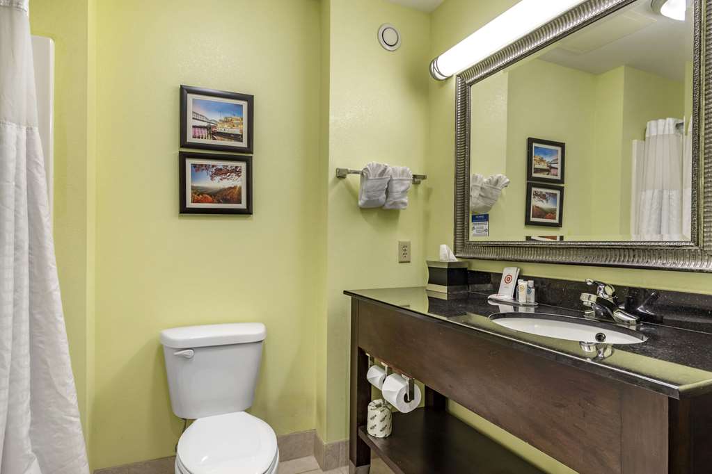 Comfort Inn Athens - photo 12