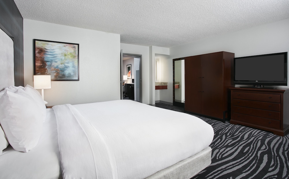 Embassy Suites by Hilton Orlando Airport - photo 8