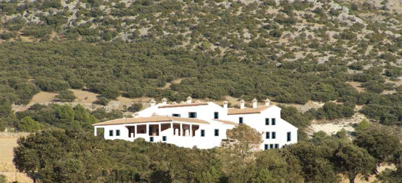 Naturalis Ruta del Sauce