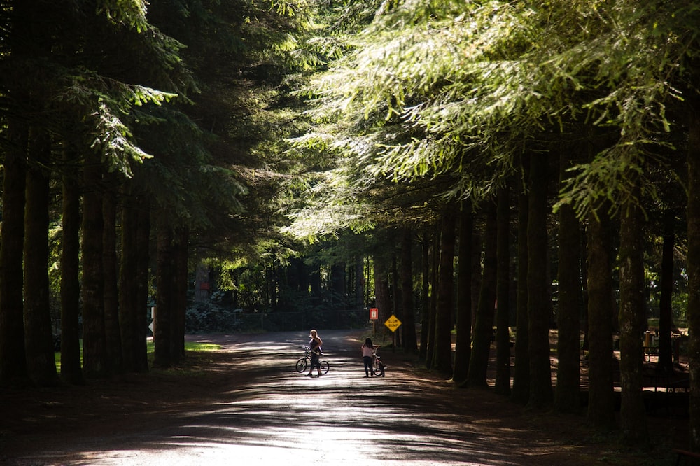 Paradise RV Campground - photo 10