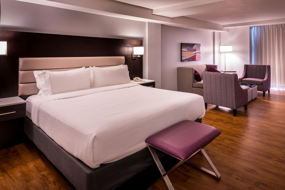 Holiday Inn Hotel & Suites Beaumont Plaza by IHG - photo 10