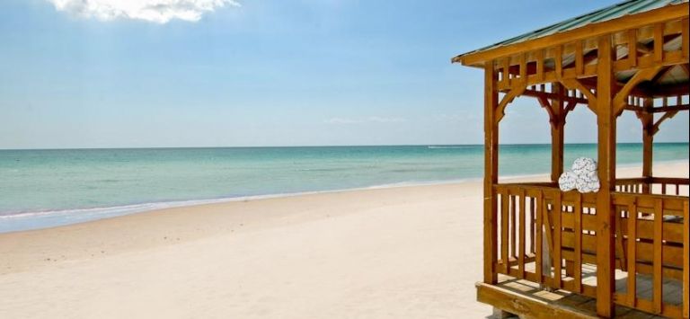Miami Beach Resort & Spa - photo 10