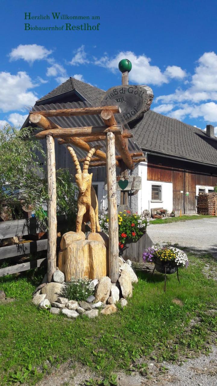 Lassacher Biobauernhof — Mariapfarr