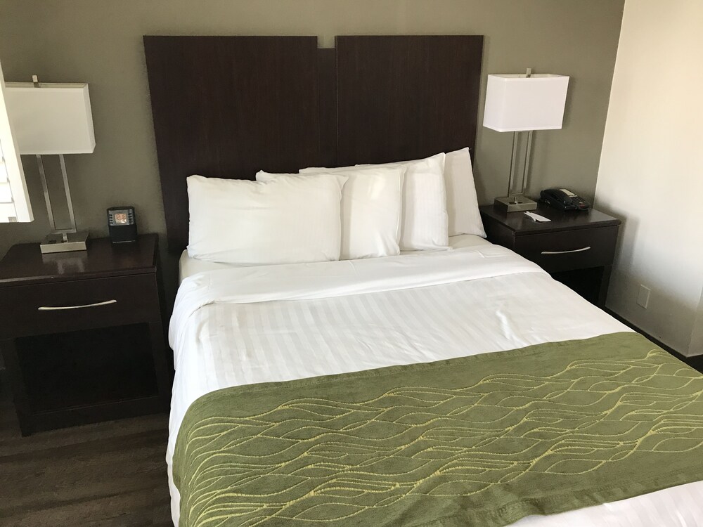 Hi View Inn & Suites - photo 3