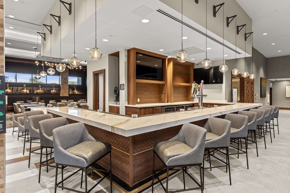 Embassy Suites by Hilton Irving Las Colinas - photo 40