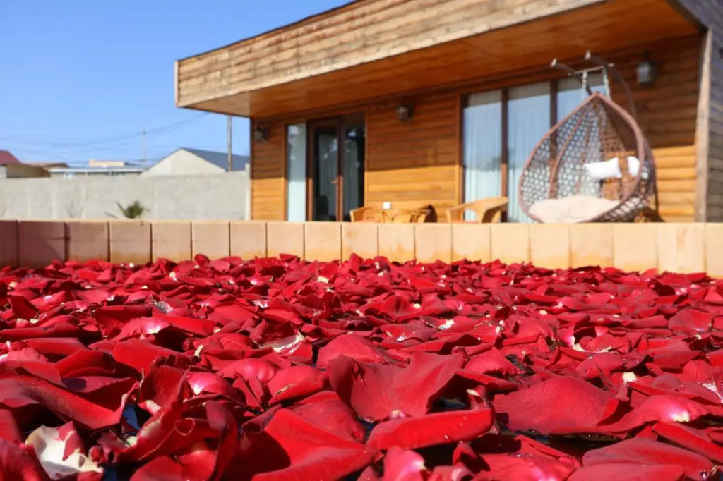 Eco house villa jeo