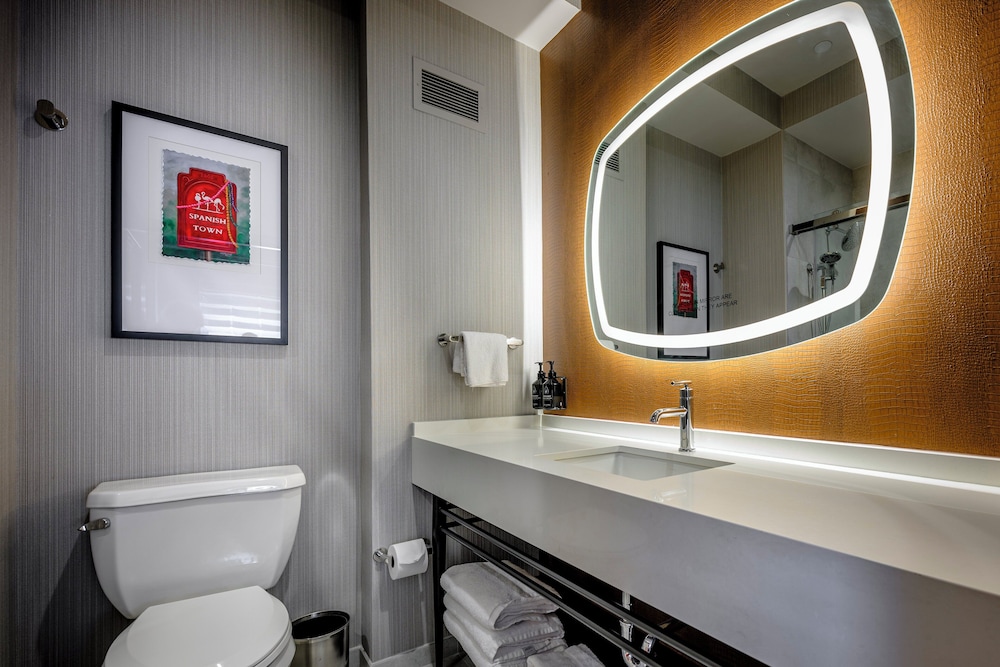 Hotel Indigo Baton Rouge Downtown by IHG - photo 67