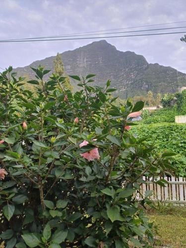 Porte de Mafate Grand Ilet in Salazie, Réunion