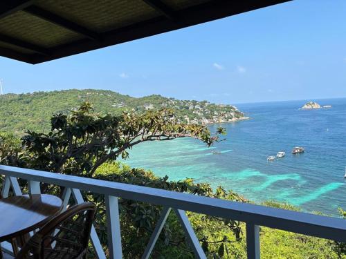 Shark Bay room Turtle in Koh Tao, Thailand