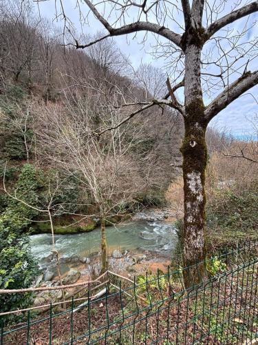 Gomi Riverside