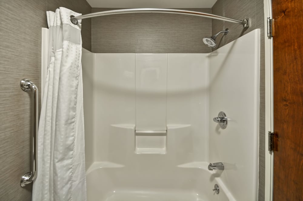 Holiday Inn Express Romulus Detroit Airport - photo 20