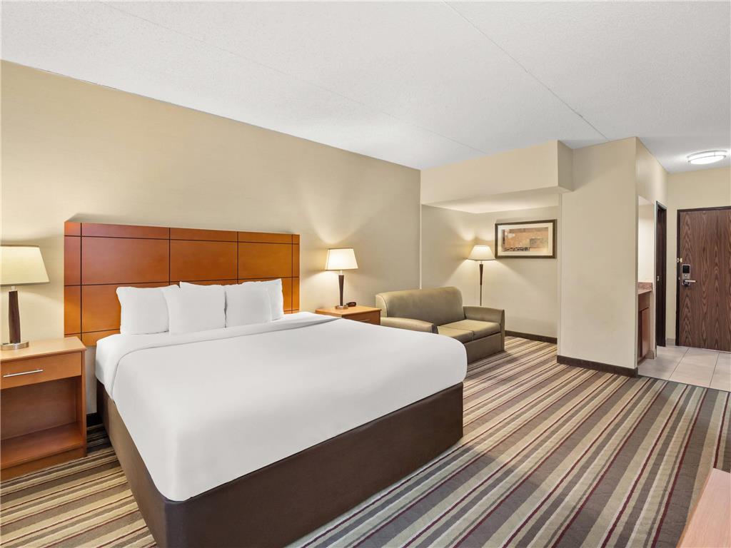 Comfort Inn Metro Airport - photo 30