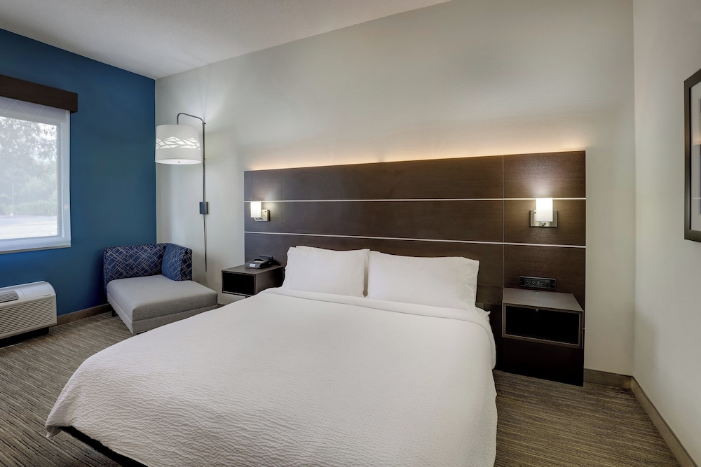 Holiday Inn Express Hotel & Suites Gadsden W Near Attalla by IHG - photo 19