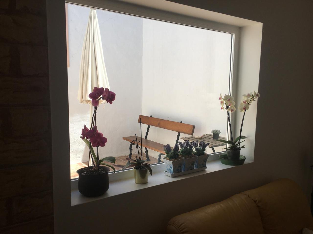 Casas Da Baronia — Alvito — photo 3