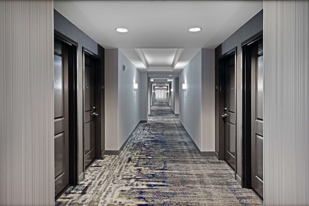 Embassy Suites by Hilton Houston Energy Corridor - photo 36