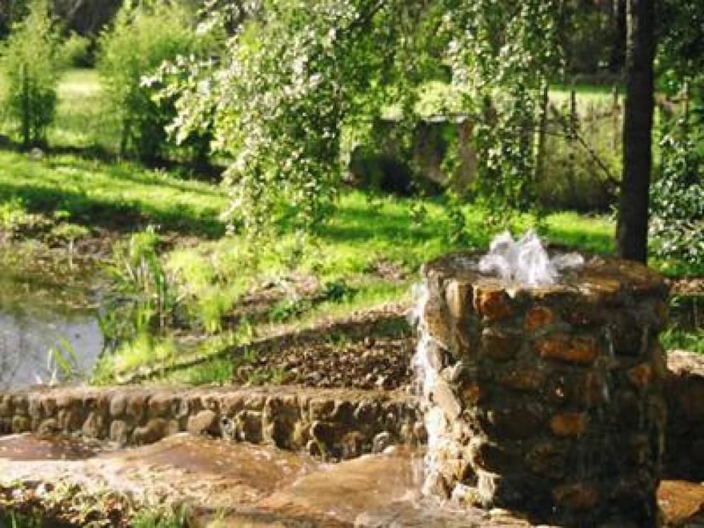 Backyard Garden Oasis - photo 62