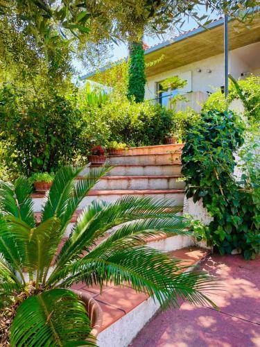 Villa In Collina Vista Mare — 4-Star Luxury Hotel in Roseto Degli Abruzzi, Italy