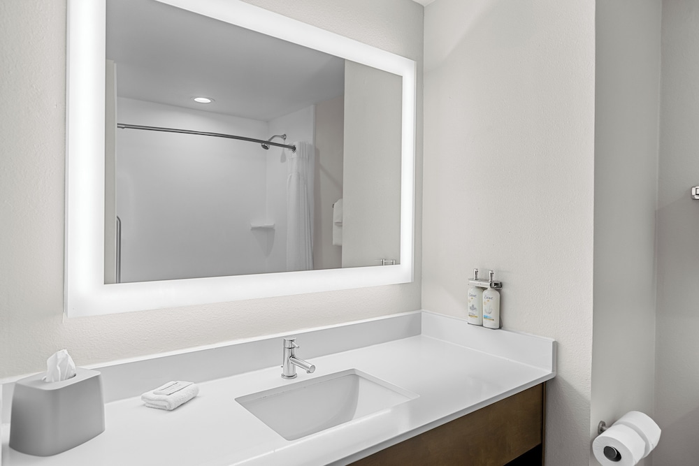 Holiday Inn Express and Suites Savannah Midtown by IHG - photo 13
