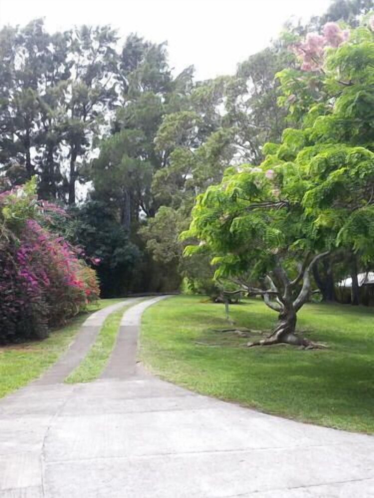 Hale Kukui Orchard & Cottages - photo 29