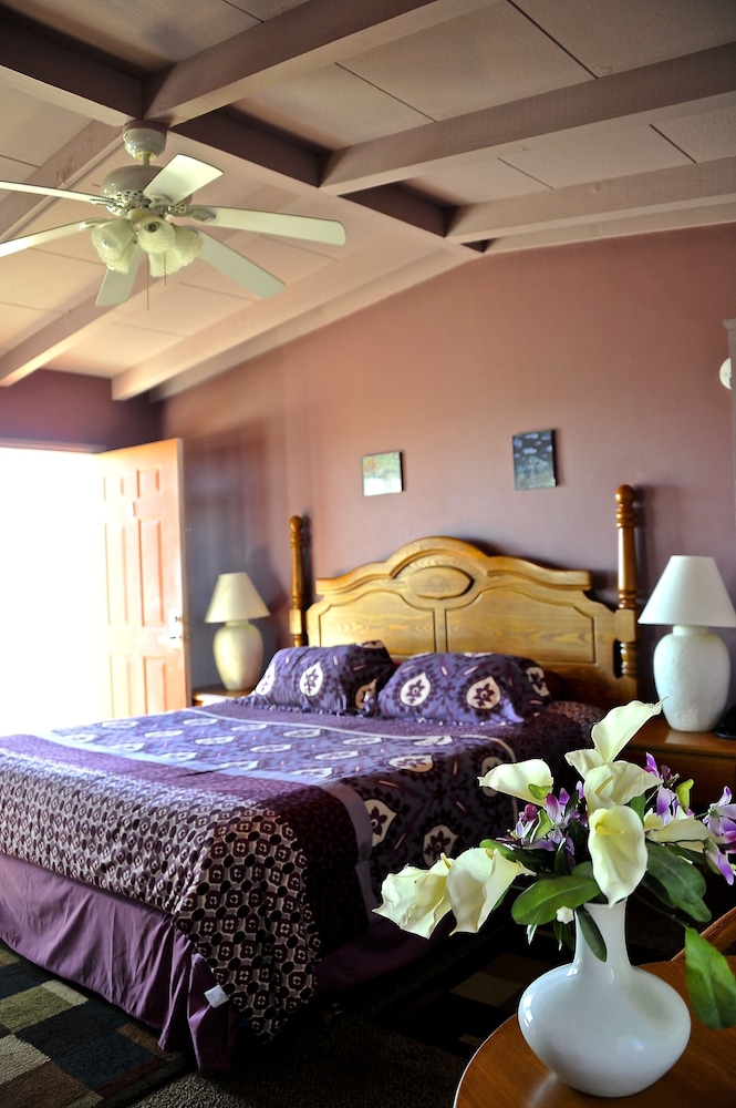 Harmony Motel - photo 31