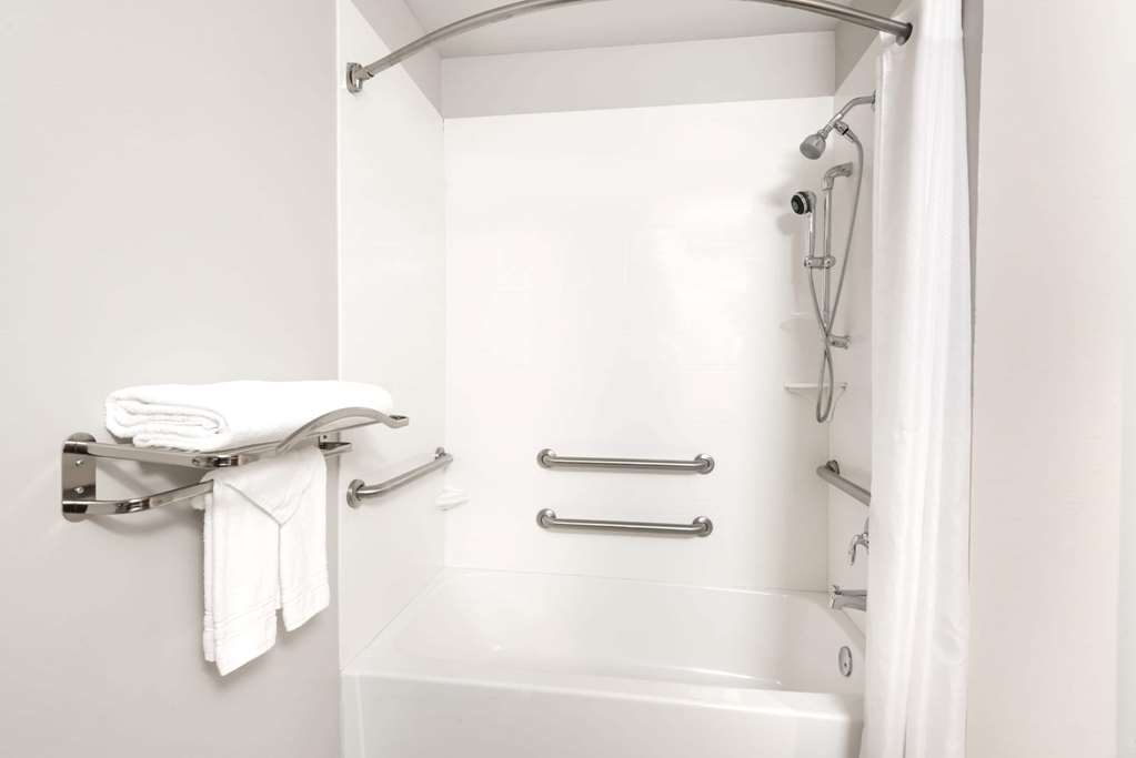 Microtel Inn by Wyndham Victor Rochester - photo 7