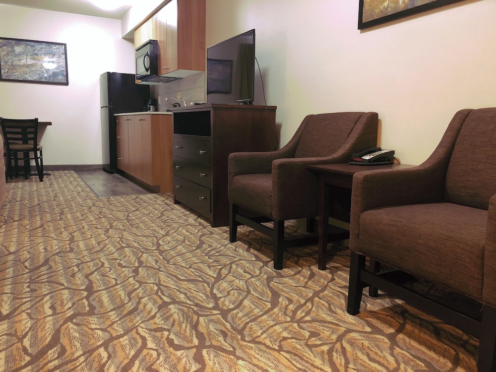 Aspen Suites Hotel Anchorage North - photo 11