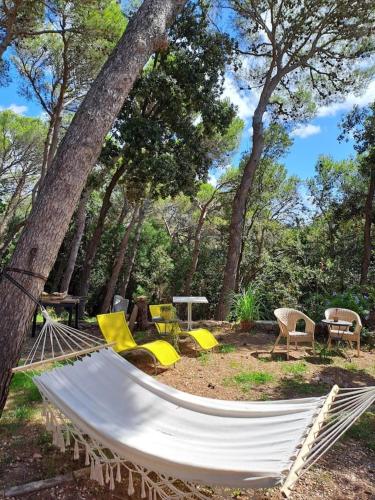 La casa in pineta — 4-Star Luxury Hotel in Quercianella, Italy