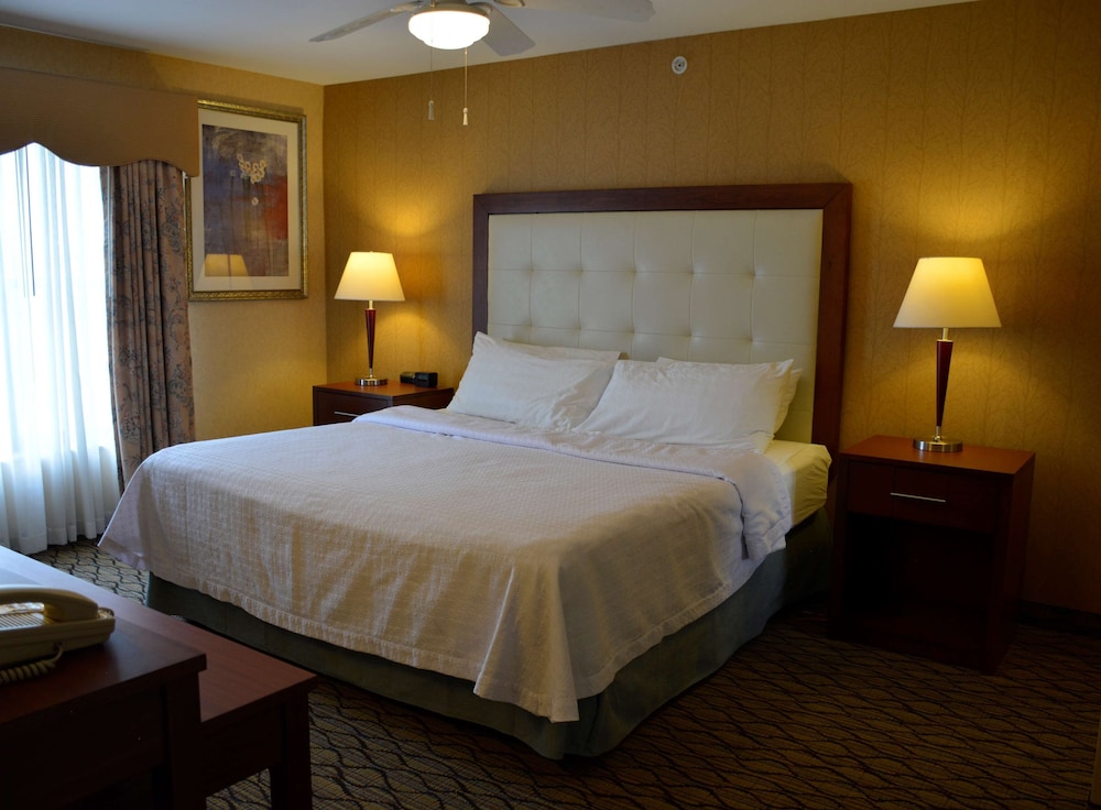 Homewood Suites by Hilton Brighton - photo 12