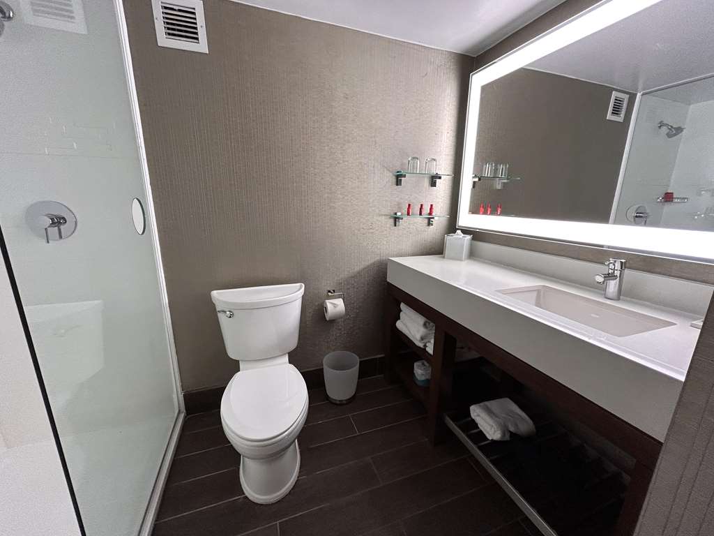 Skyline Hotel Detroit Airport SureStay Collection by BW - photo 13