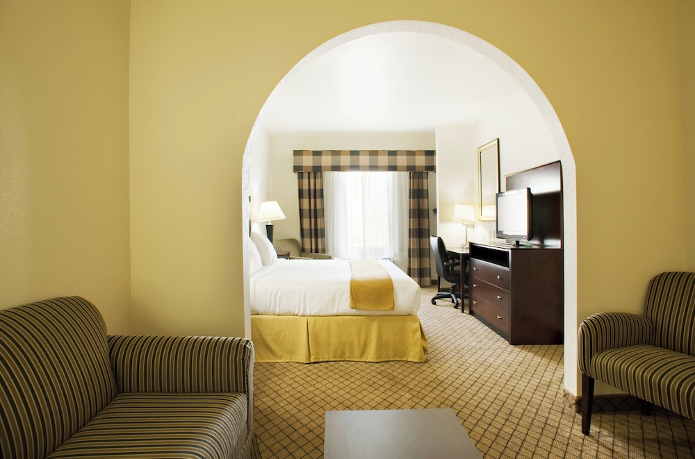 Holiday Inn Express & Suites Childress by IHG - photo 9
