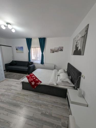 Cazare La Piatra Buhei in Campulung Moldovenesc, Romania