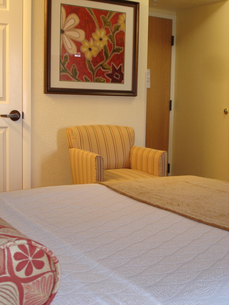 Spark by Hilton Orlando near SeaWorld - photo 25