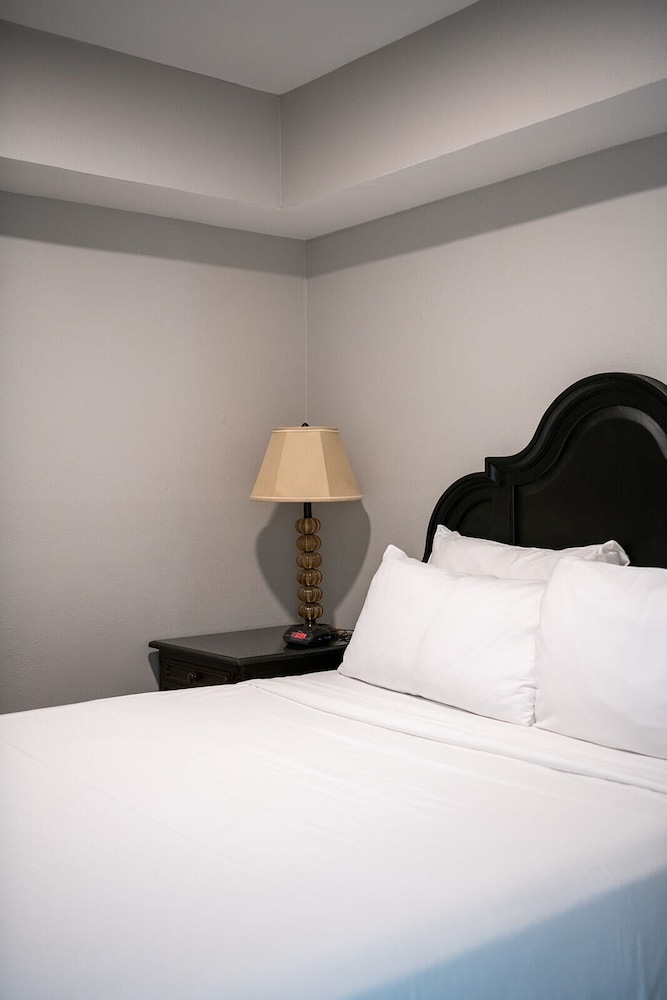 French Quarter Suites Hotel - photo 22