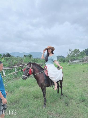 Bac Ha Horse Farmstay — Bac Ha — photo 5
