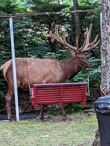 Rolling Brook Inn - photo 40