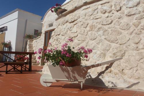 Trullo Il Melograno — Ostuni — photo 5