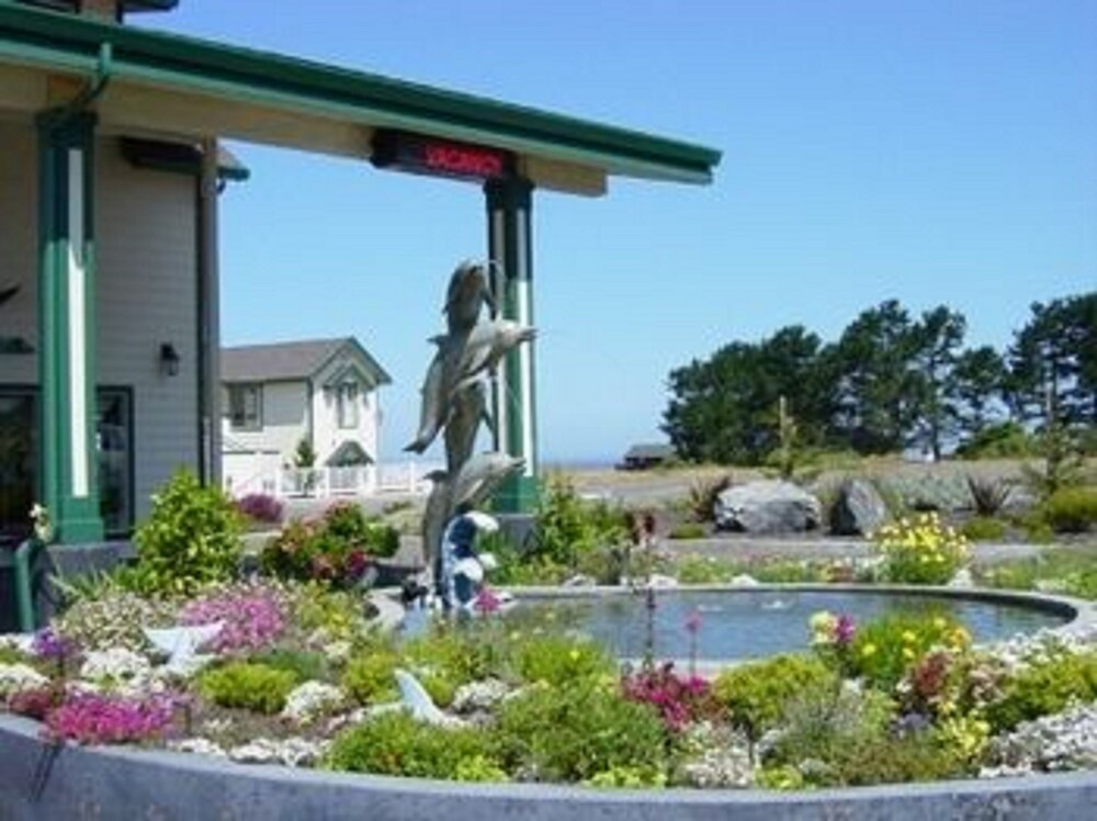 Emerald Dolphin Inn & Mini Golf - photo 40