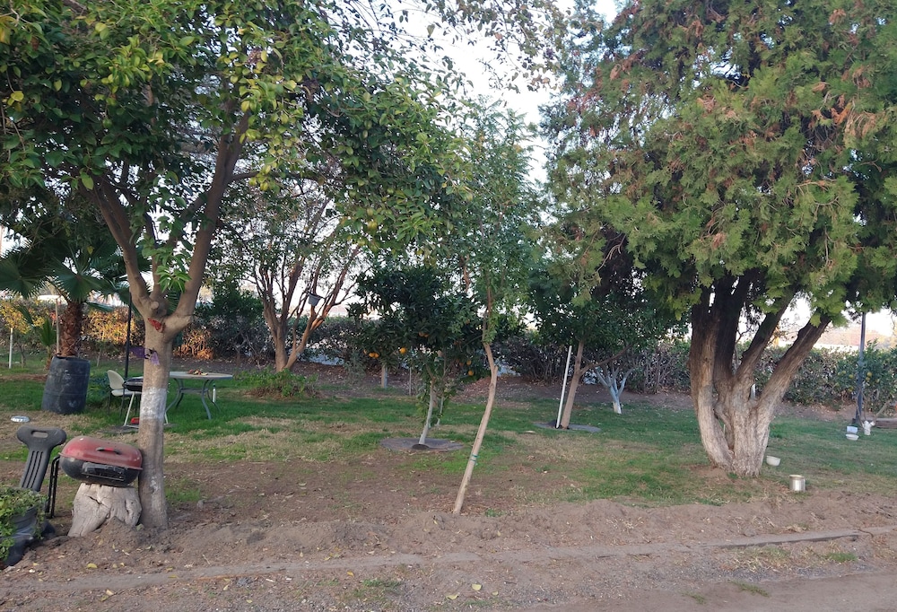 EL Amigo Motel - photo 20