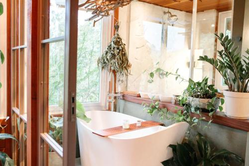 Cabana Manjericão I Ofurô Sauna e Lareira em Camboriú in Itajai, Brasil