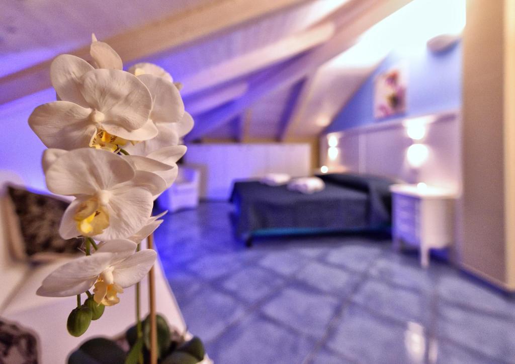 Residenza Vinci Room & Suite — 4-Star Luxury Hotel in Pizzo, Italy